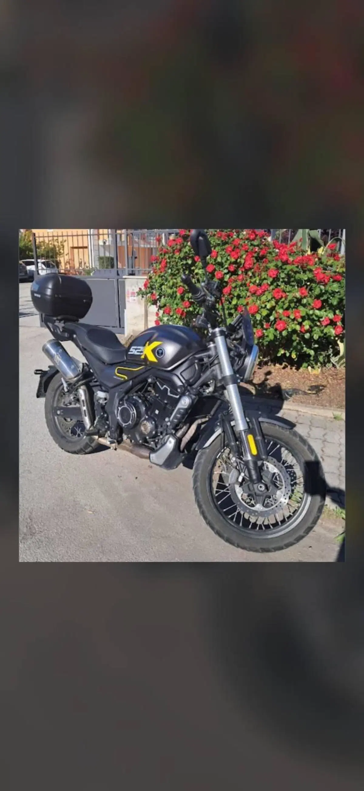 Voge Trofeo 525ACX Scrambler (2023 - 26) (4)