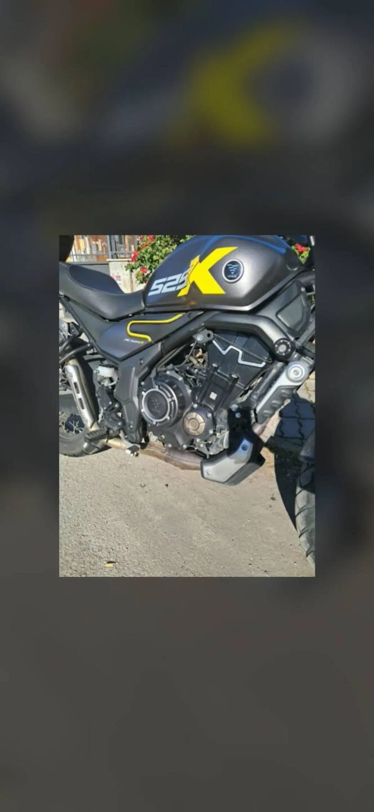 Voge Trofeo 525ACX Scrambler (2023 - 26) (5)