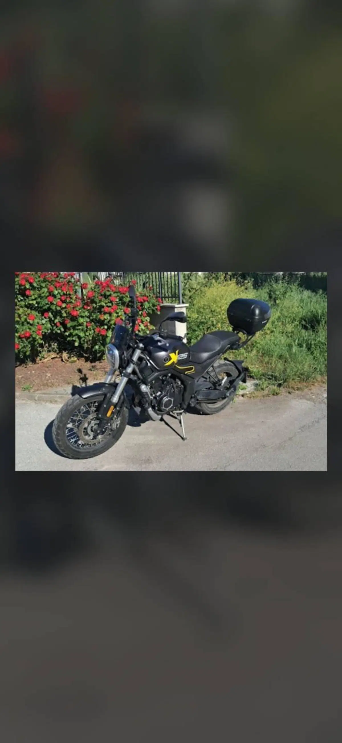 Voge Trofeo 525ACX Scrambler (2023 - 26) (6)