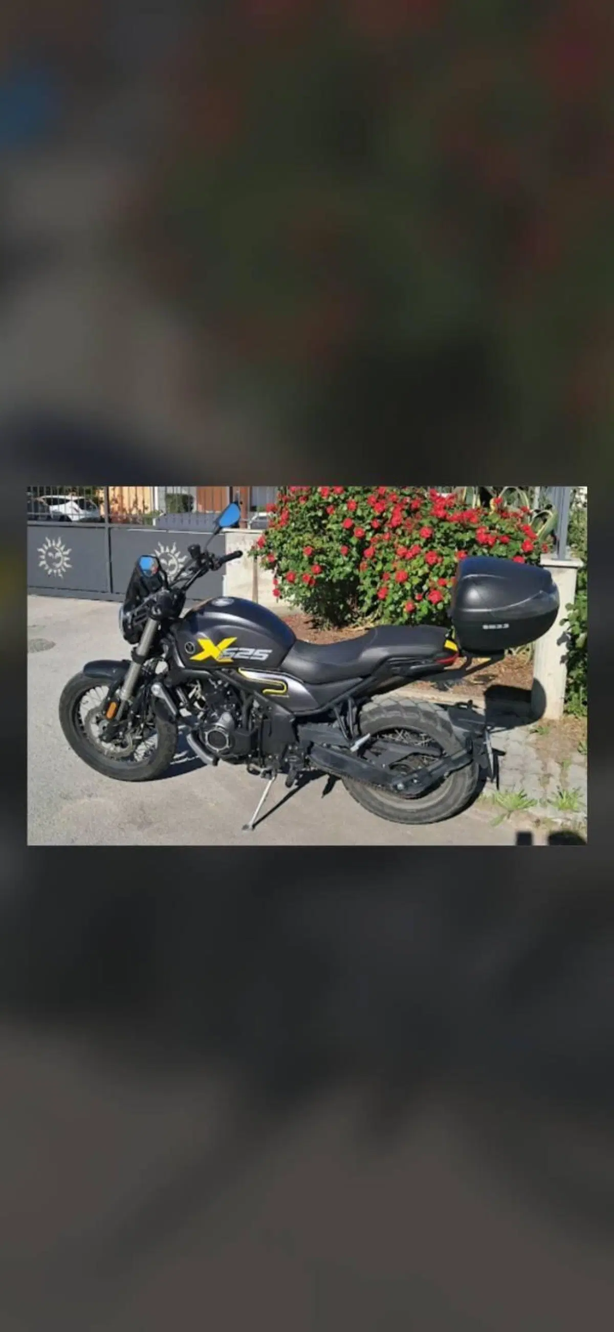 Voge Trofeo 525ACX Scrambler (2023 - 26) (7)