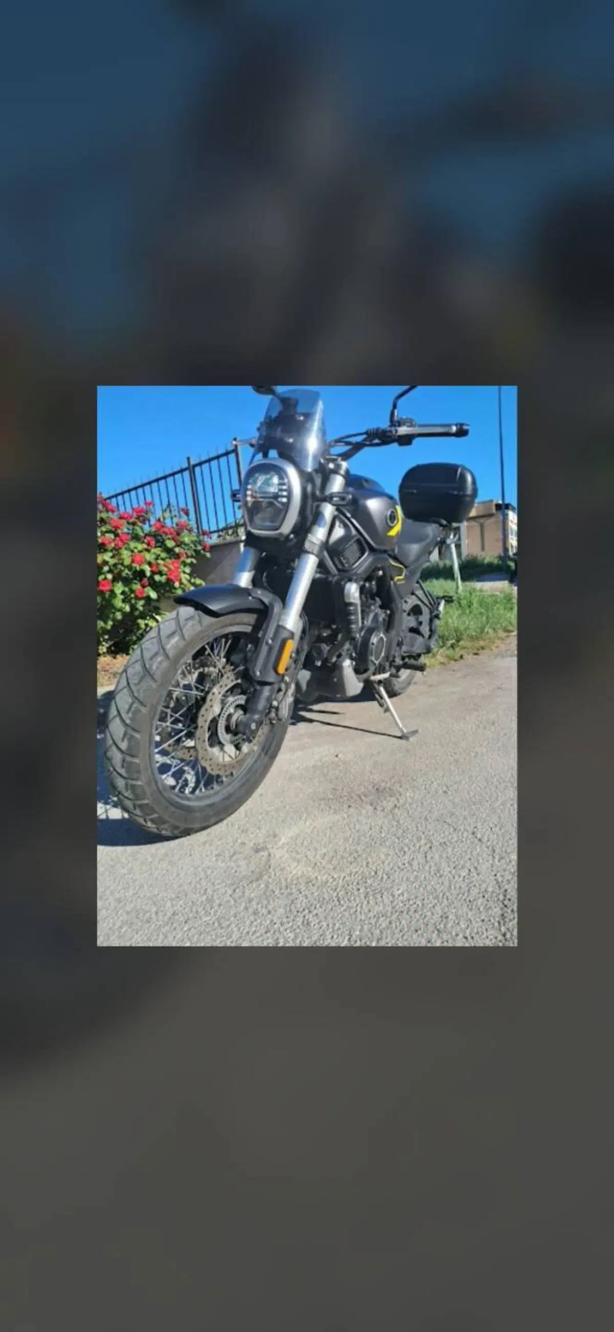 Voge Trofeo 525ACX Scrambler (2023 - 26) (8)