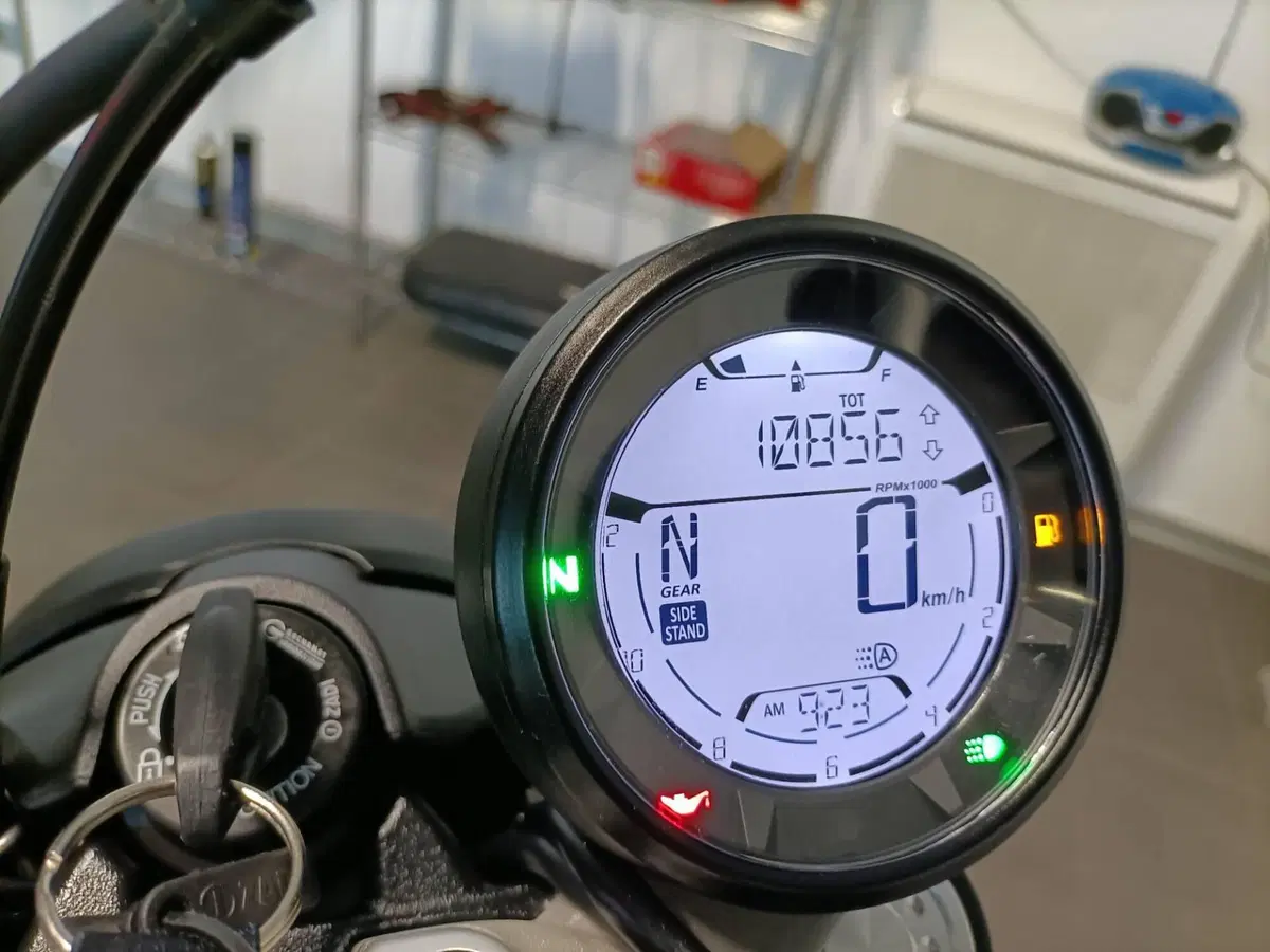 Ducati Scrambler 800 Icon Dark (2021 - 22) (5)