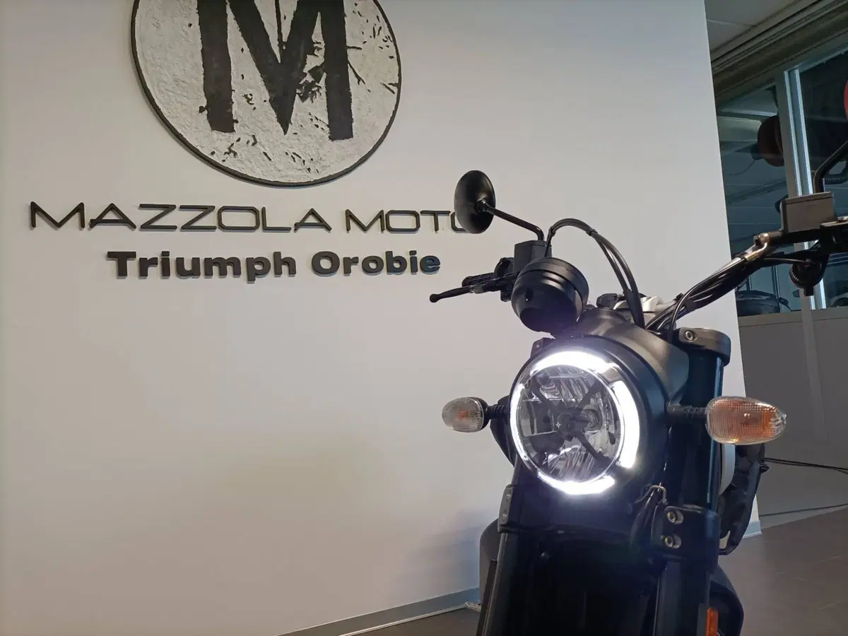 Ducati Scrambler 800 Icon Dark (2021 - 22) (7)