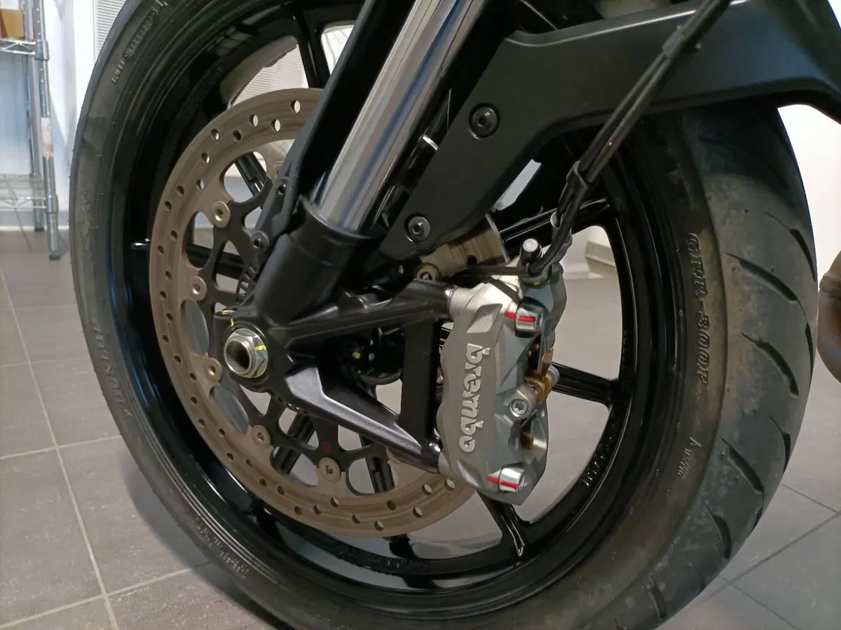 Ducati Scrambler 800 Icon Dark (2021 - 22) (12)