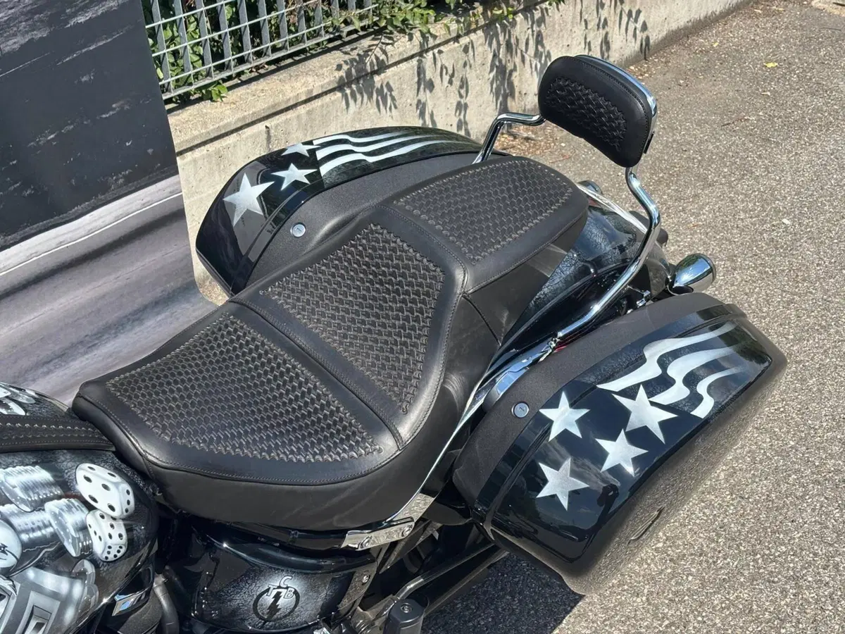 Harley-Davidson Sport Glide (2021 - 25) (2)