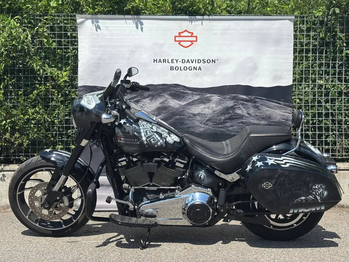 Harley-Davidson Sport Glide (2021 - 25) (3)