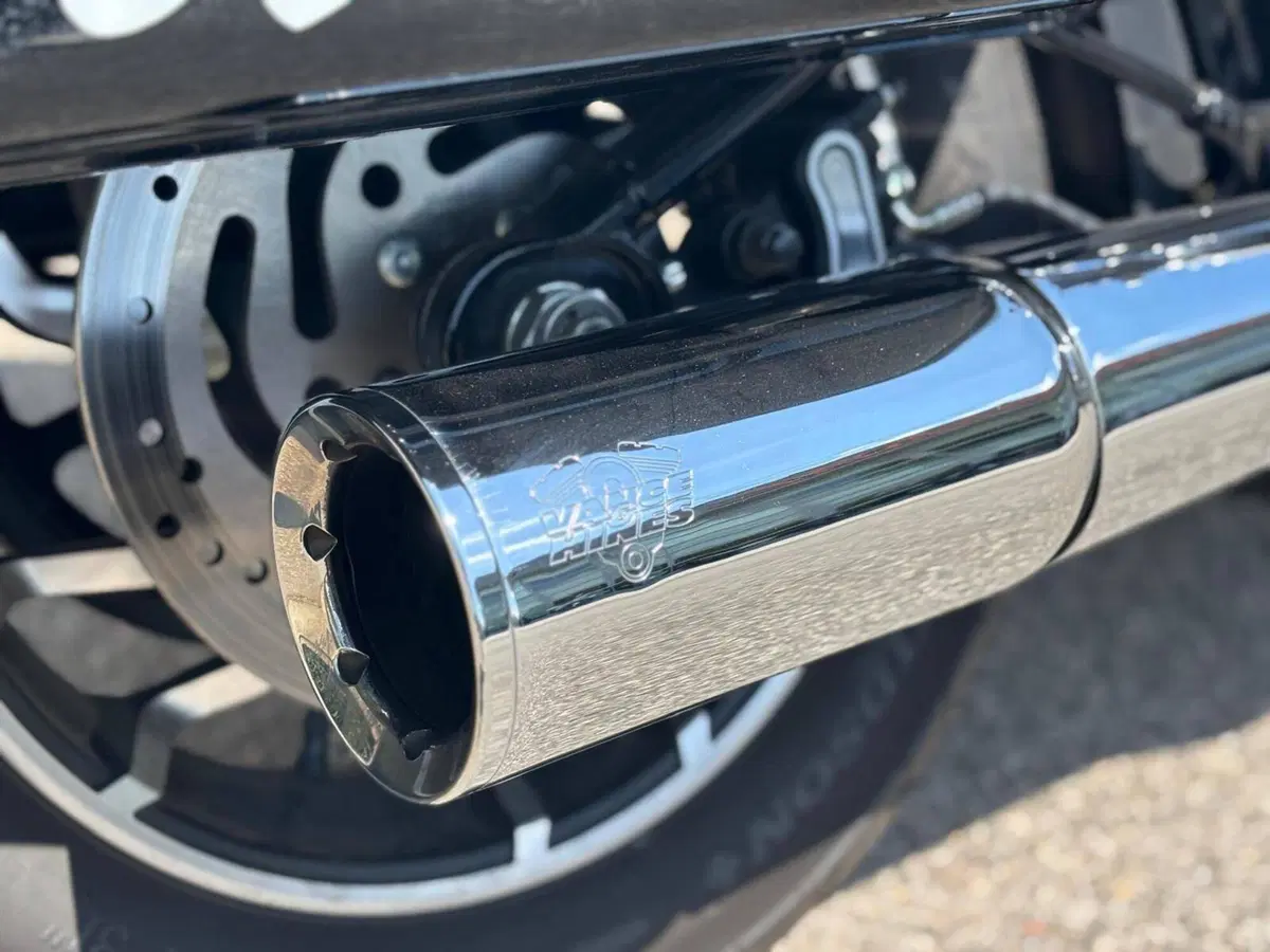 Harley-Davidson Sport Glide (2021 - 25) (4)