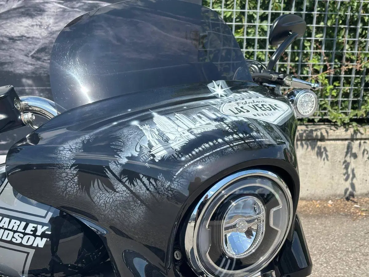Harley-Davidson Sport Glide (2021 - 25) (5)