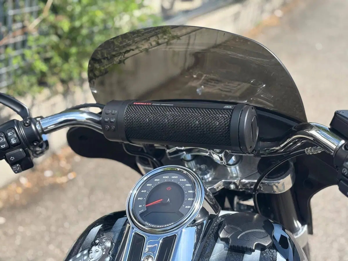Harley-Davidson Sport Glide (2021 - 25) (8)