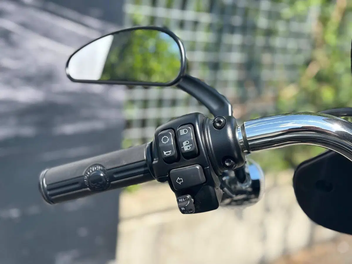 Harley-Davidson Sport Glide (2021 - 25) (9)