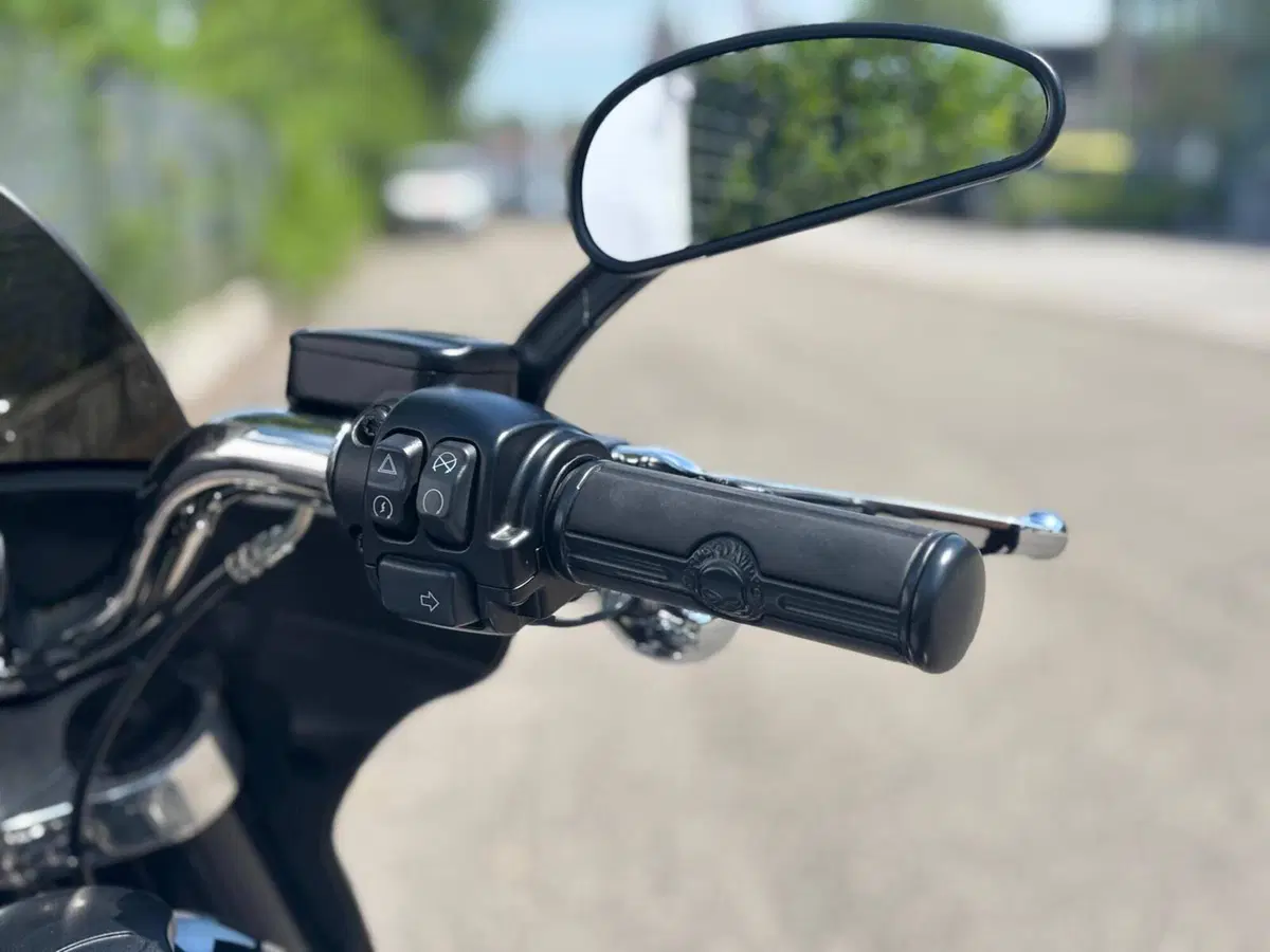 Harley-Davidson Sport Glide (2021 - 25) (10)