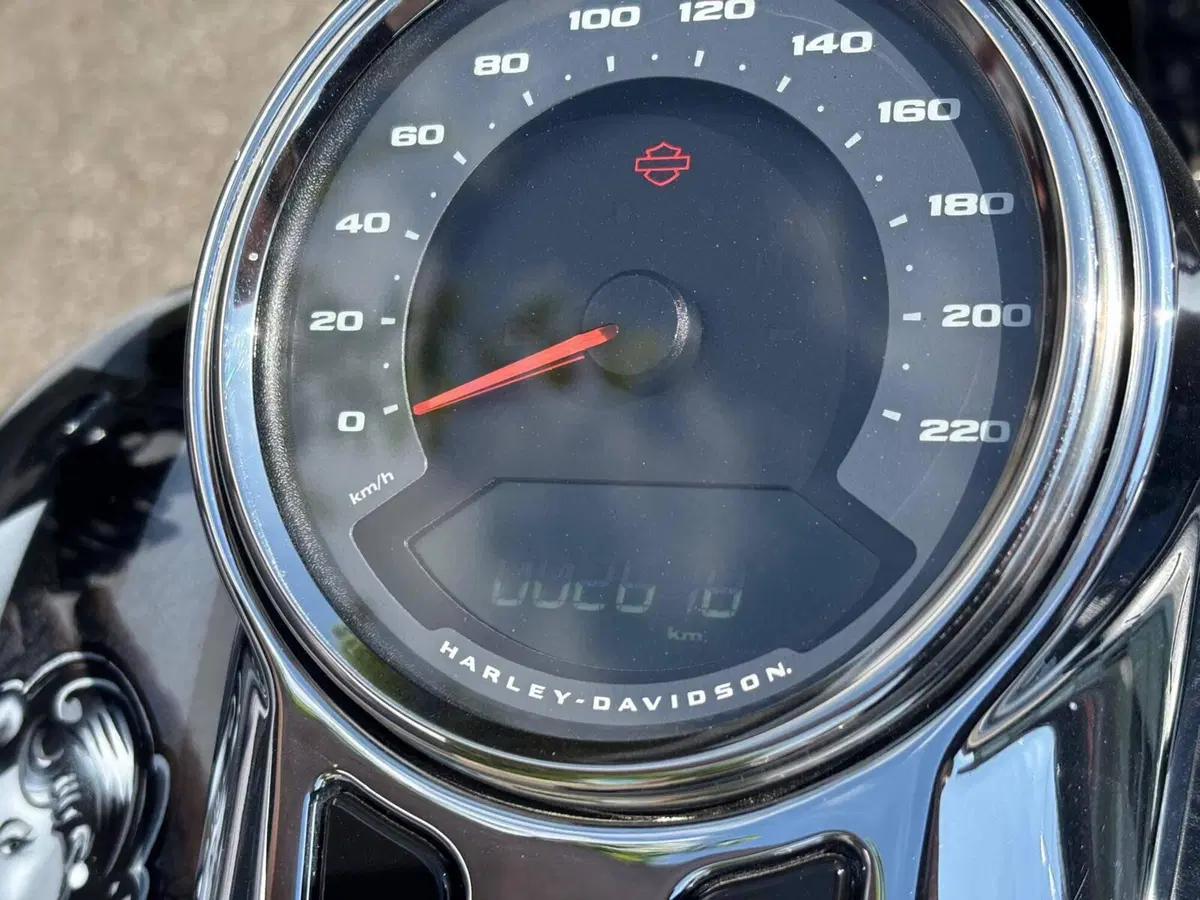 Harley-Davidson Sport Glide (2021 - 25) (11)