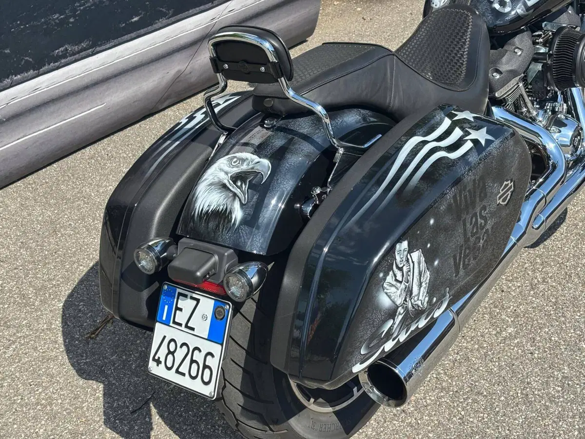 Harley-Davidson Sport Glide (2021 - 25) (13)