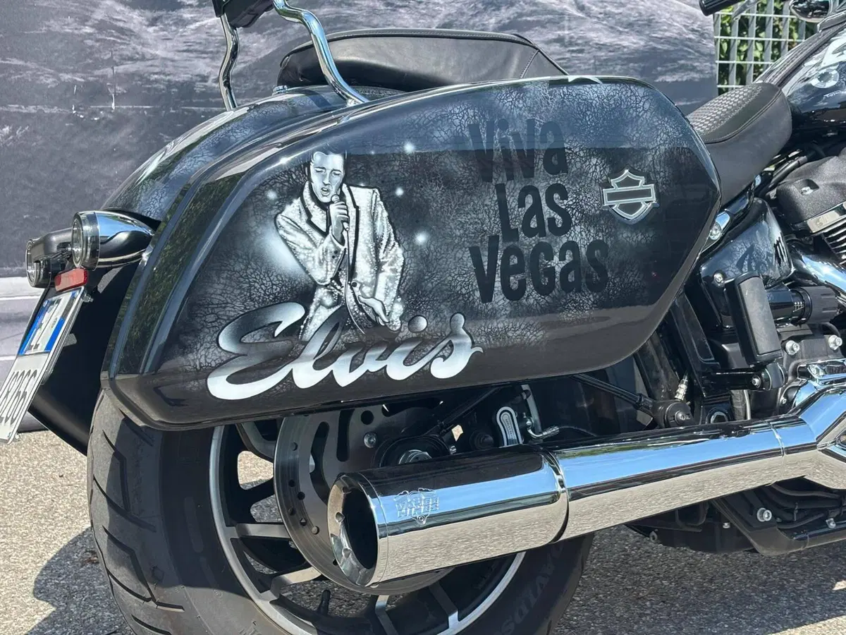 Harley-Davidson Sport Glide (2021 - 25) (14)