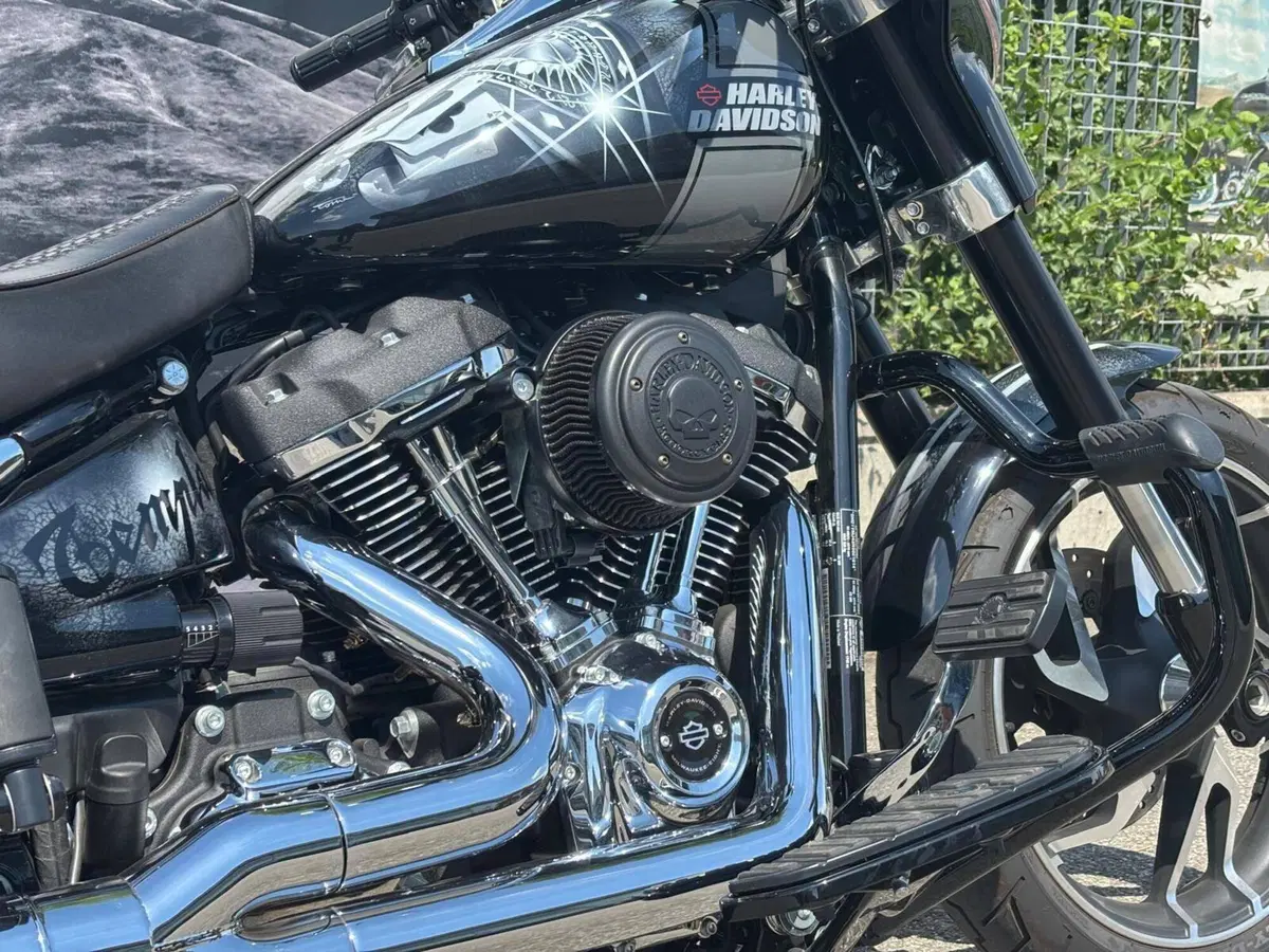 Harley-Davidson Sport Glide (2021 - 25) (15)