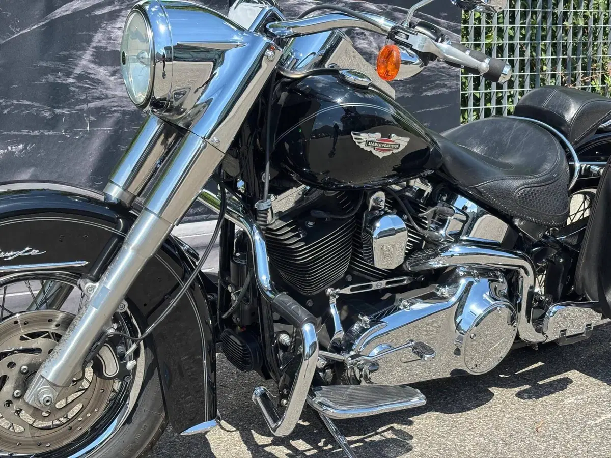 Harley-Davidson 1585 Softail Deluxe (2011) - FLSTN (3)