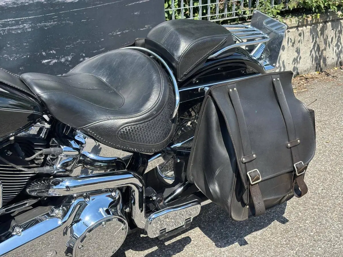 Harley-Davidson 1585 Softail Deluxe (2011) - FLSTN (4)