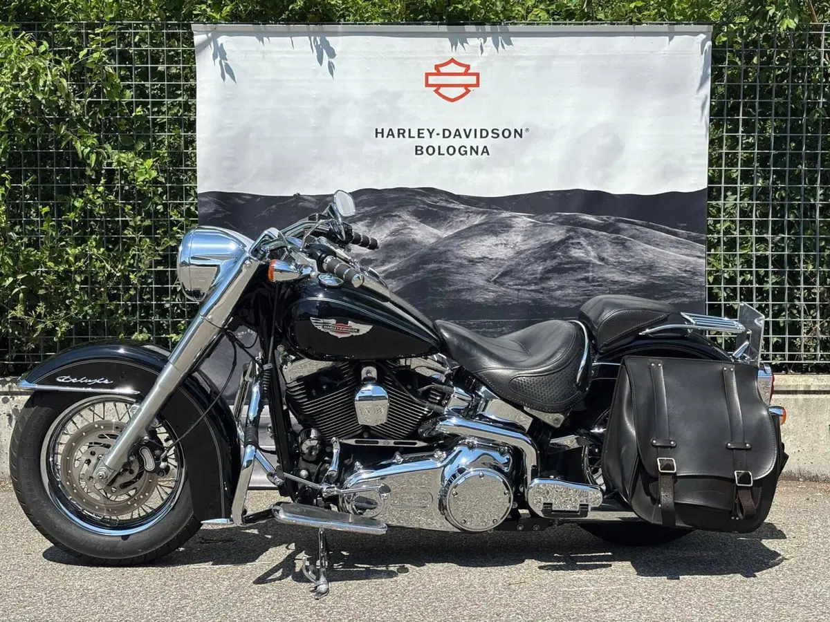 Harley-Davidson 1585 Softail Deluxe (2011) - FLSTN (2)