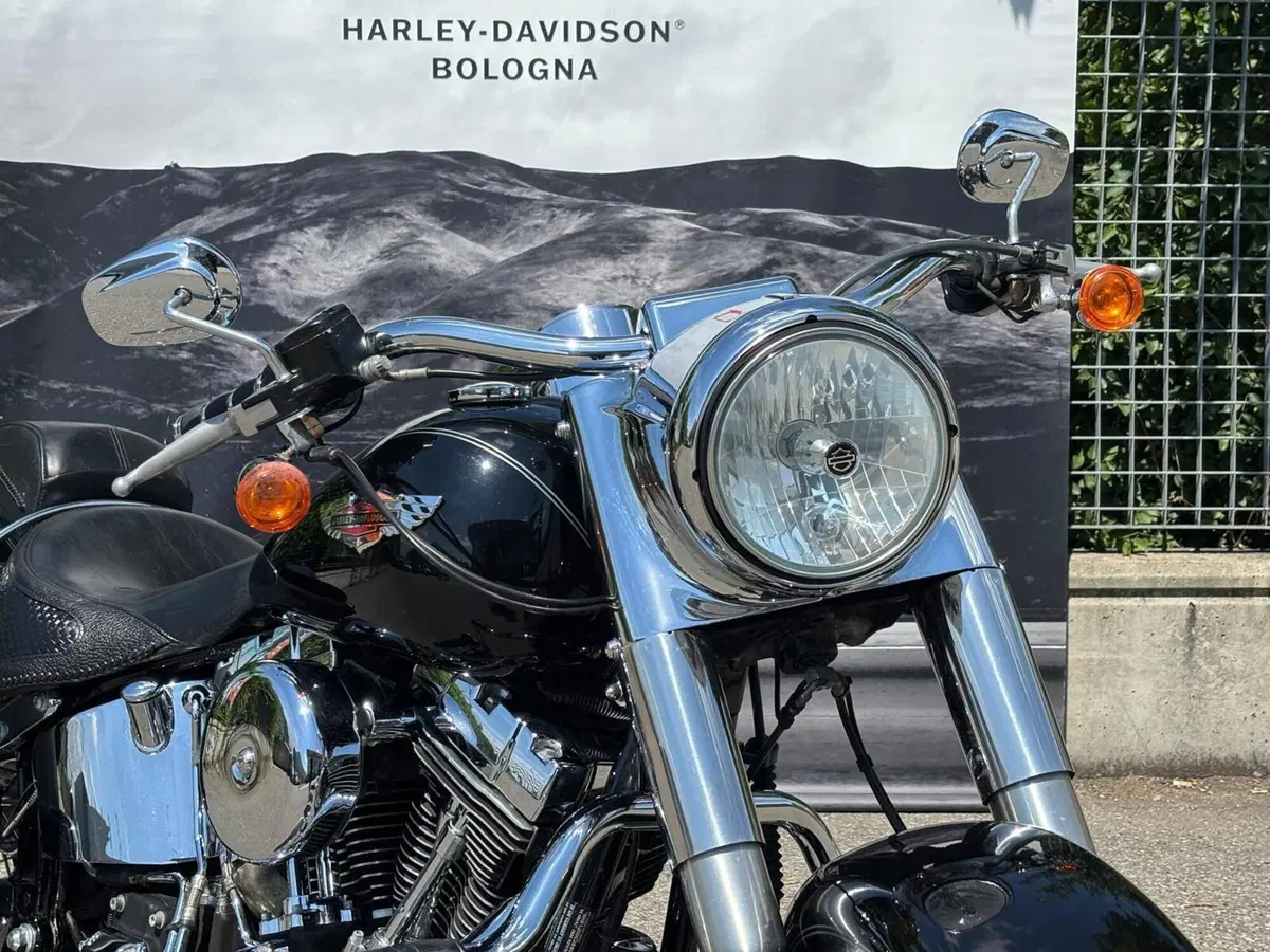 Harley-Davidson 1585 Softail Deluxe (2011) - FLSTN (5)