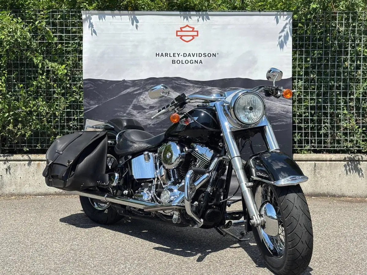 Harley-Davidson 1585 Softail Deluxe (2011) - FLSTN (6)