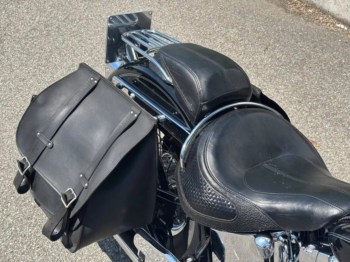 Harley-Davidson 1585 Softail Deluxe (2011) - FLSTN (7)