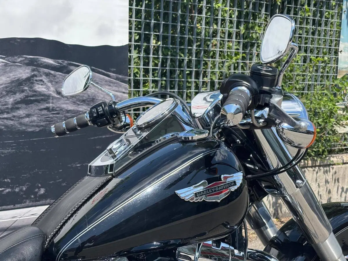 Harley-Davidson 1585 Softail Deluxe (2011) - FLSTN (9)