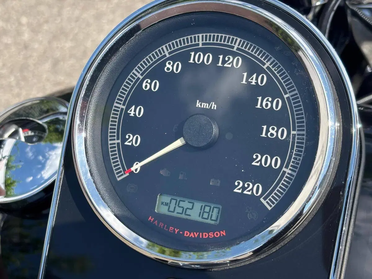 Harley-Davidson 1585 Softail Deluxe (2011) - FLSTN (11)