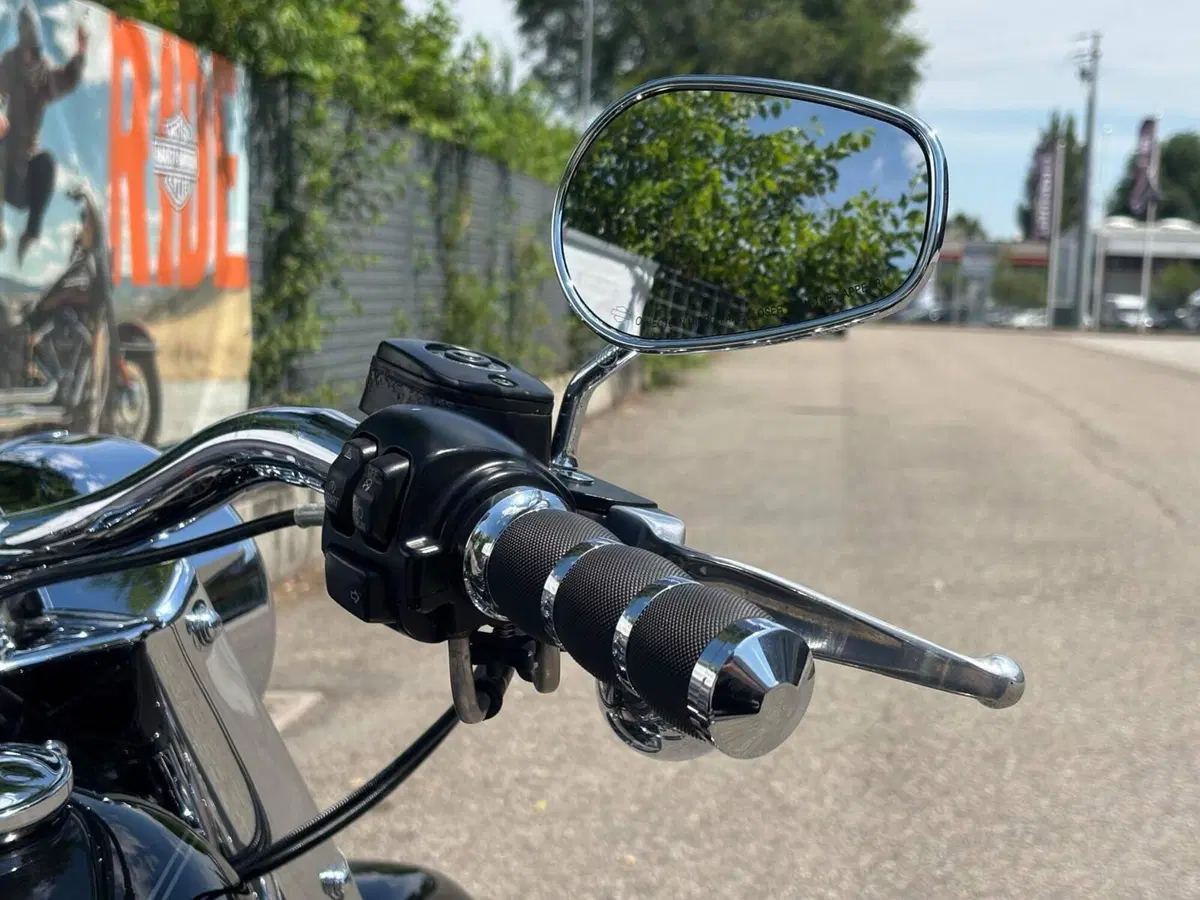 Harley-Davidson 1585 Softail Deluxe (2011) - FLSTN (12)