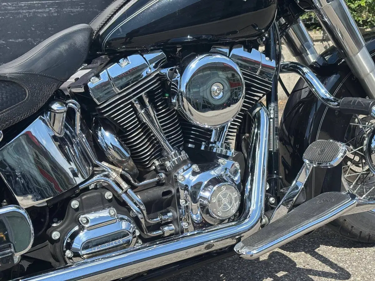 Harley-Davidson 1585 Softail Deluxe (2011) - FLSTN (14)