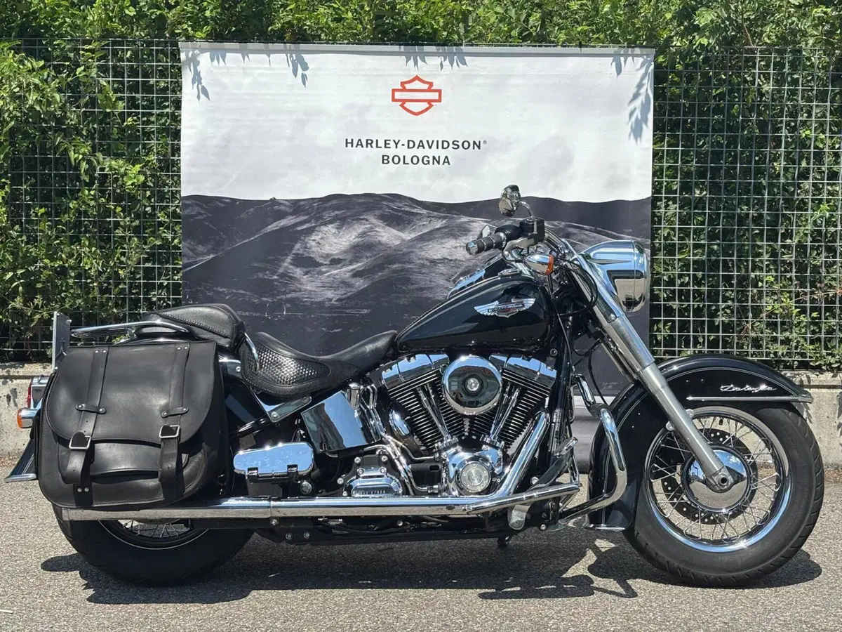 Harley-Davidson 1585 Softail Deluxe (2011) - FLSTN