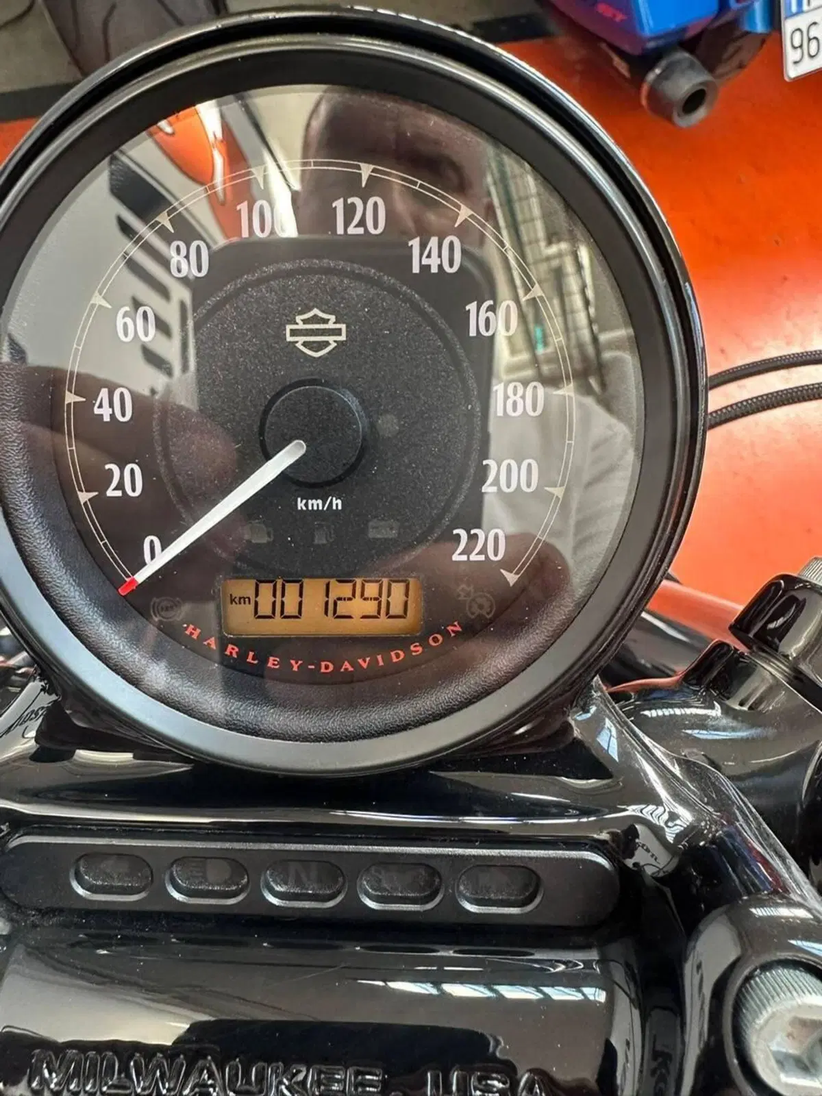 Harley-Davidson 1200 Forty-Eight (2016 - 20) (4)
