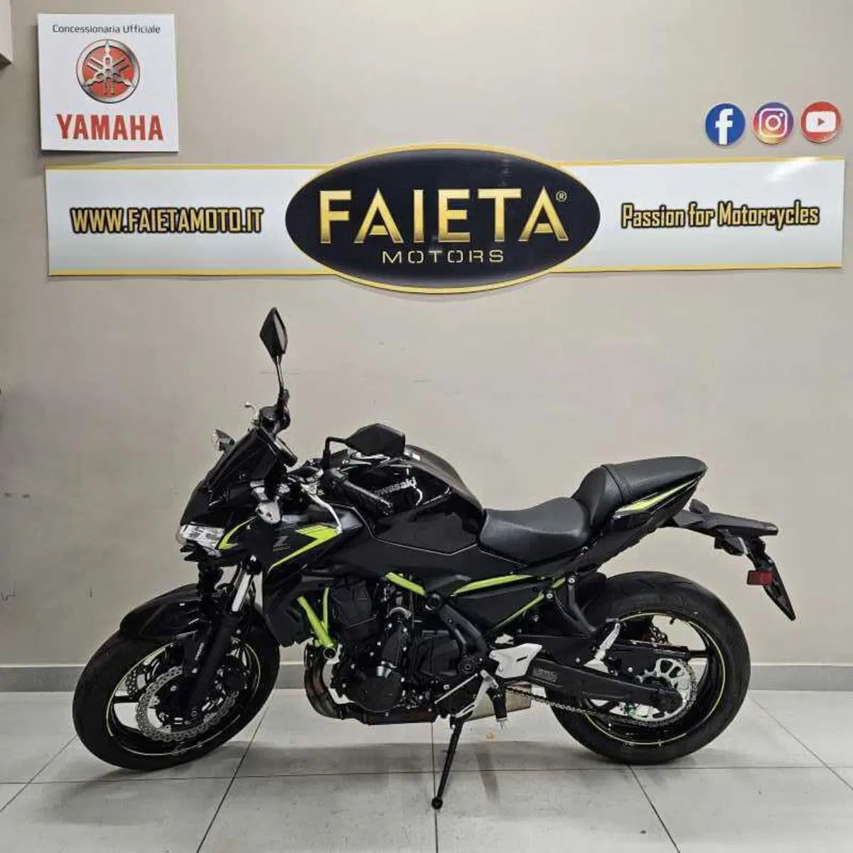 Kawasaki Z 650 (2021 - 24)
