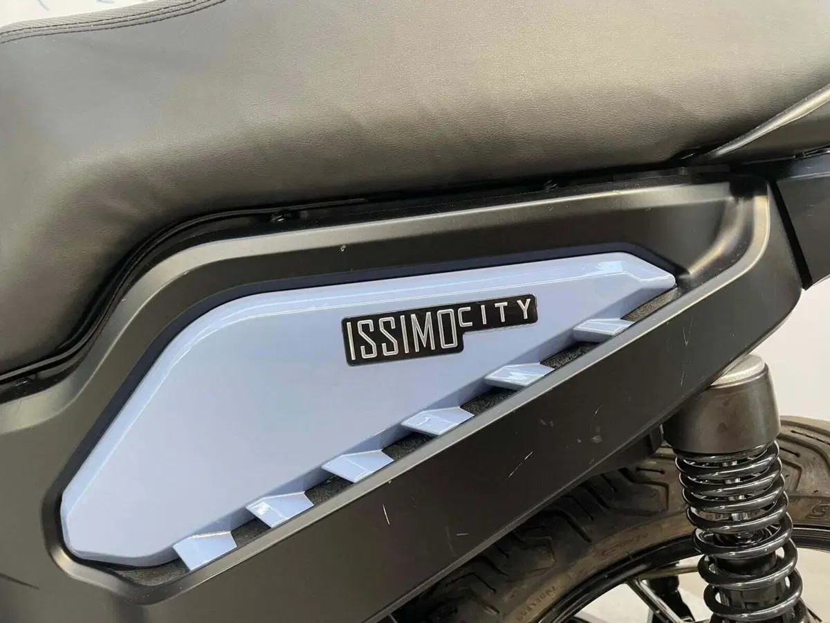 Fantic Motor Issimo 45 (2022 - 26) (9)