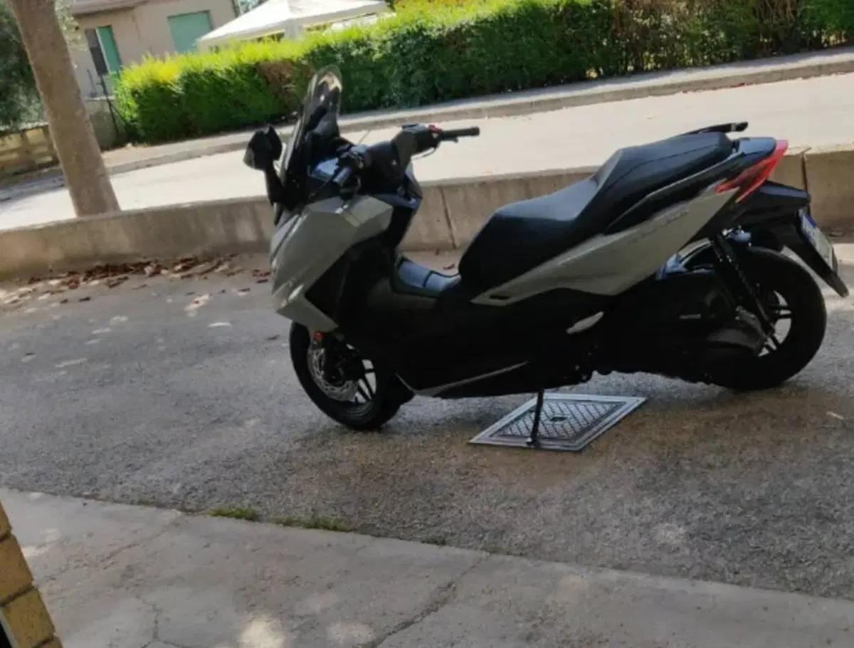Honda Forza 350 (2022 - 24)