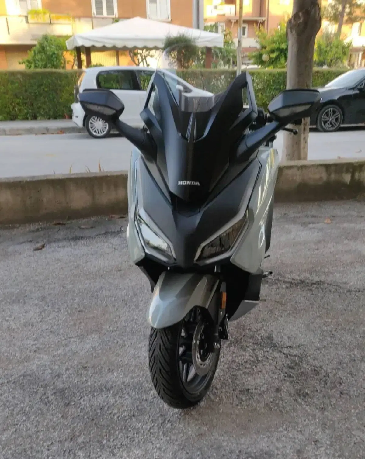 Honda Forza 350 (2022 - 24) (2)