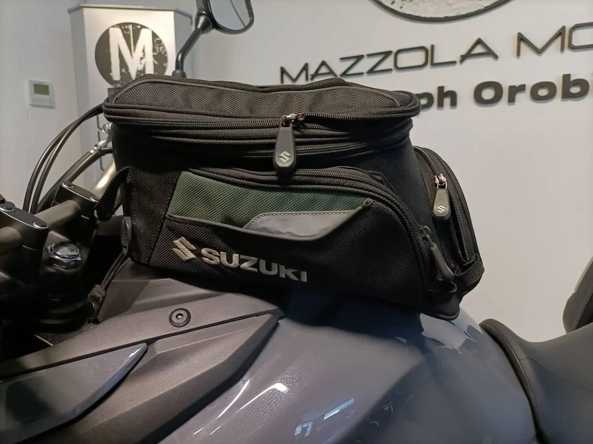 Suzuki V-Strom 650 ABS (2017 - 20) (6)