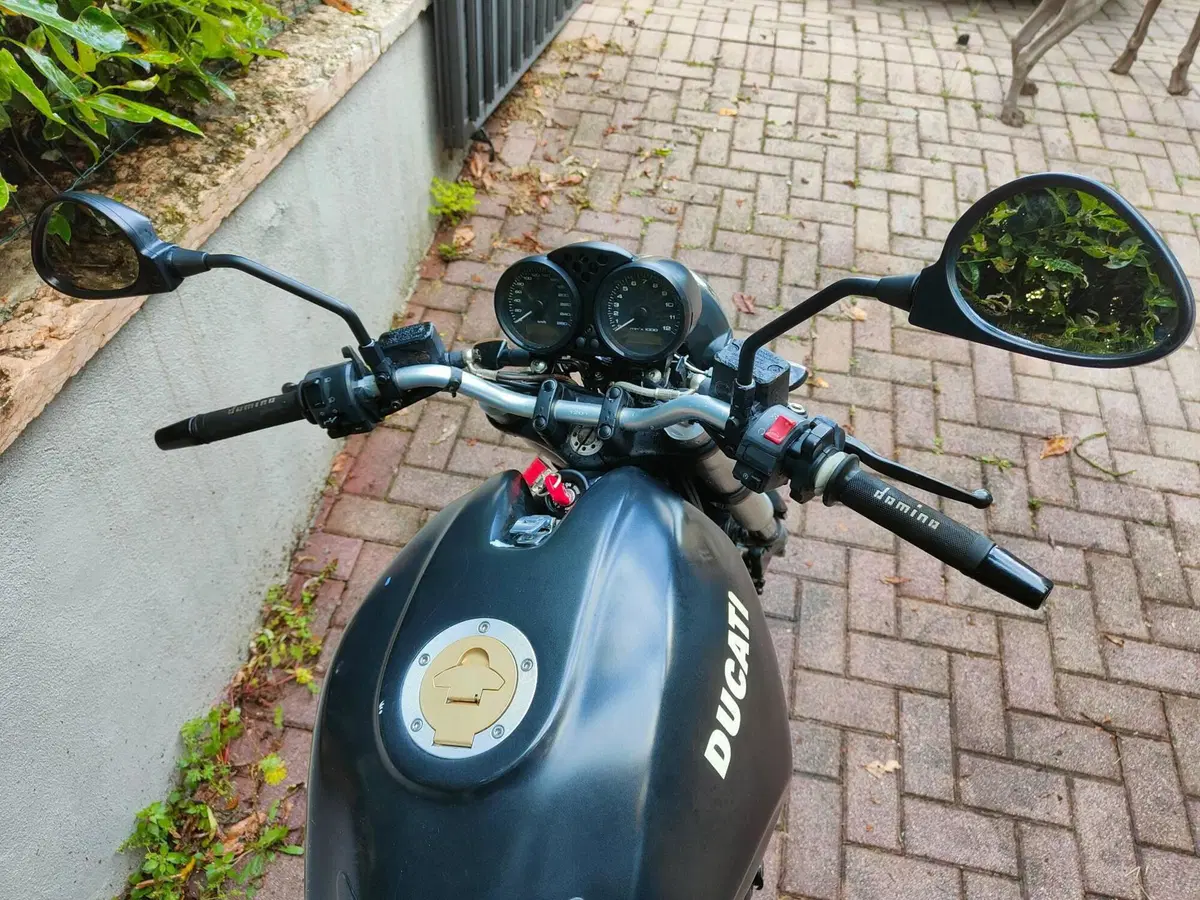 Ducati Monster 695 (2006 - 08) (4)