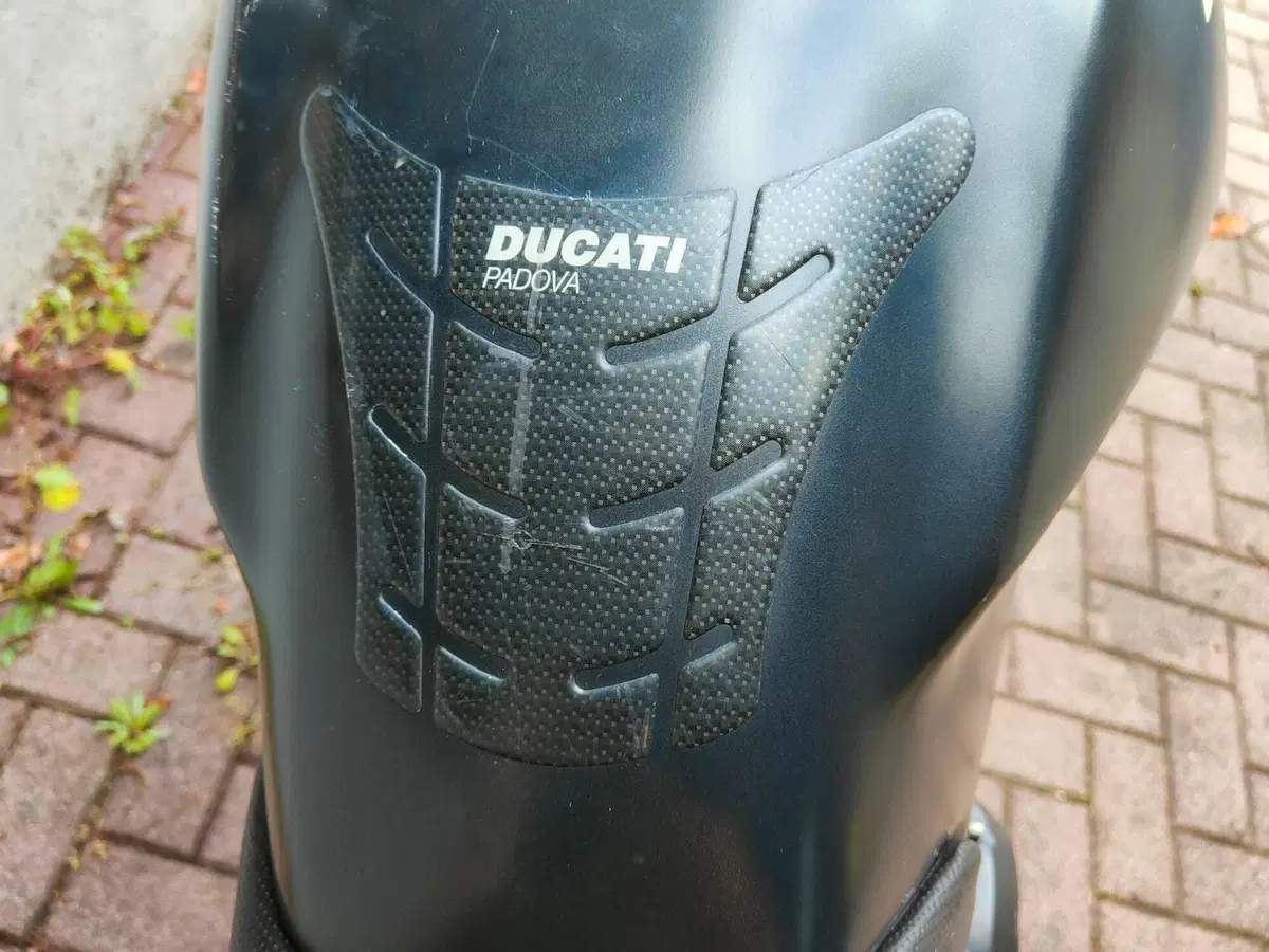 Ducati Monster 695 (2006 - 08) (9)