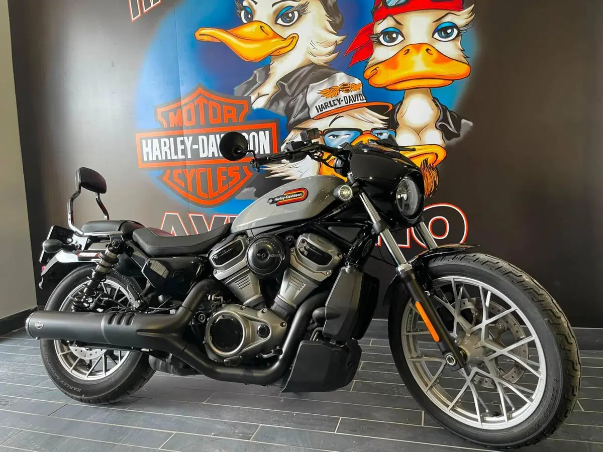 Harley-Davidson Nightster Special (2023 - 26) (2)