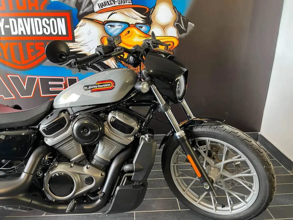 Harley-Davidson Nightster Special (2023 - 26) (3)