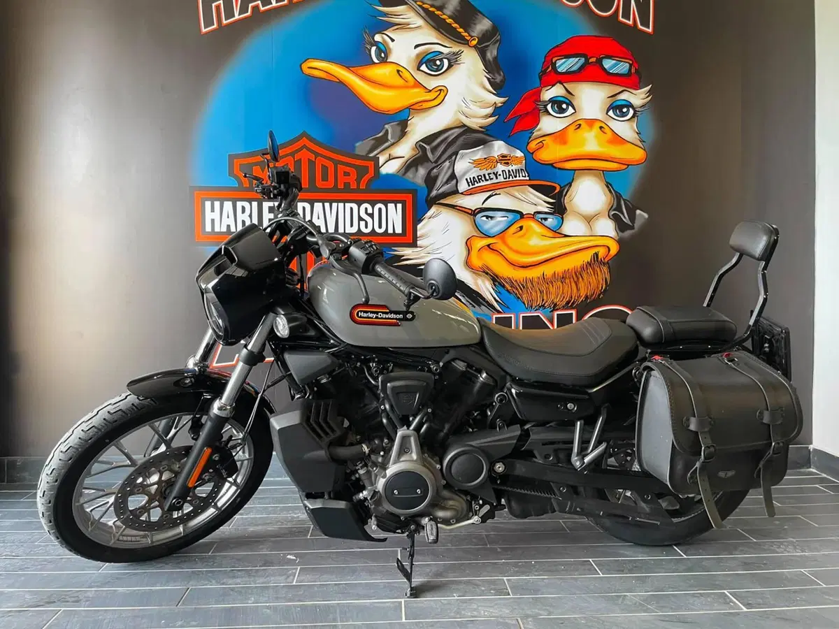 Harley-Davidson Nightster Special (2023 - 26) (4)