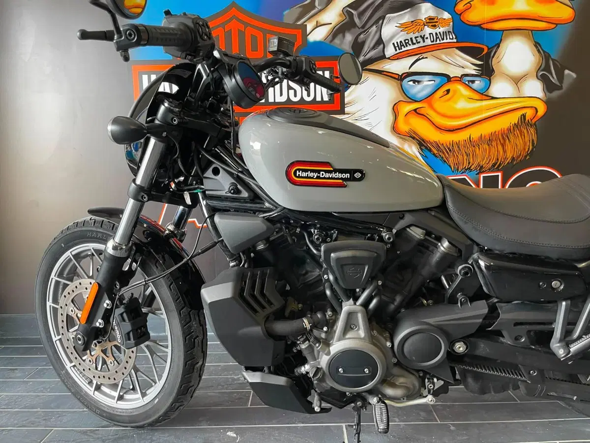 Harley-Davidson Nightster Special (2023 - 26) (5)