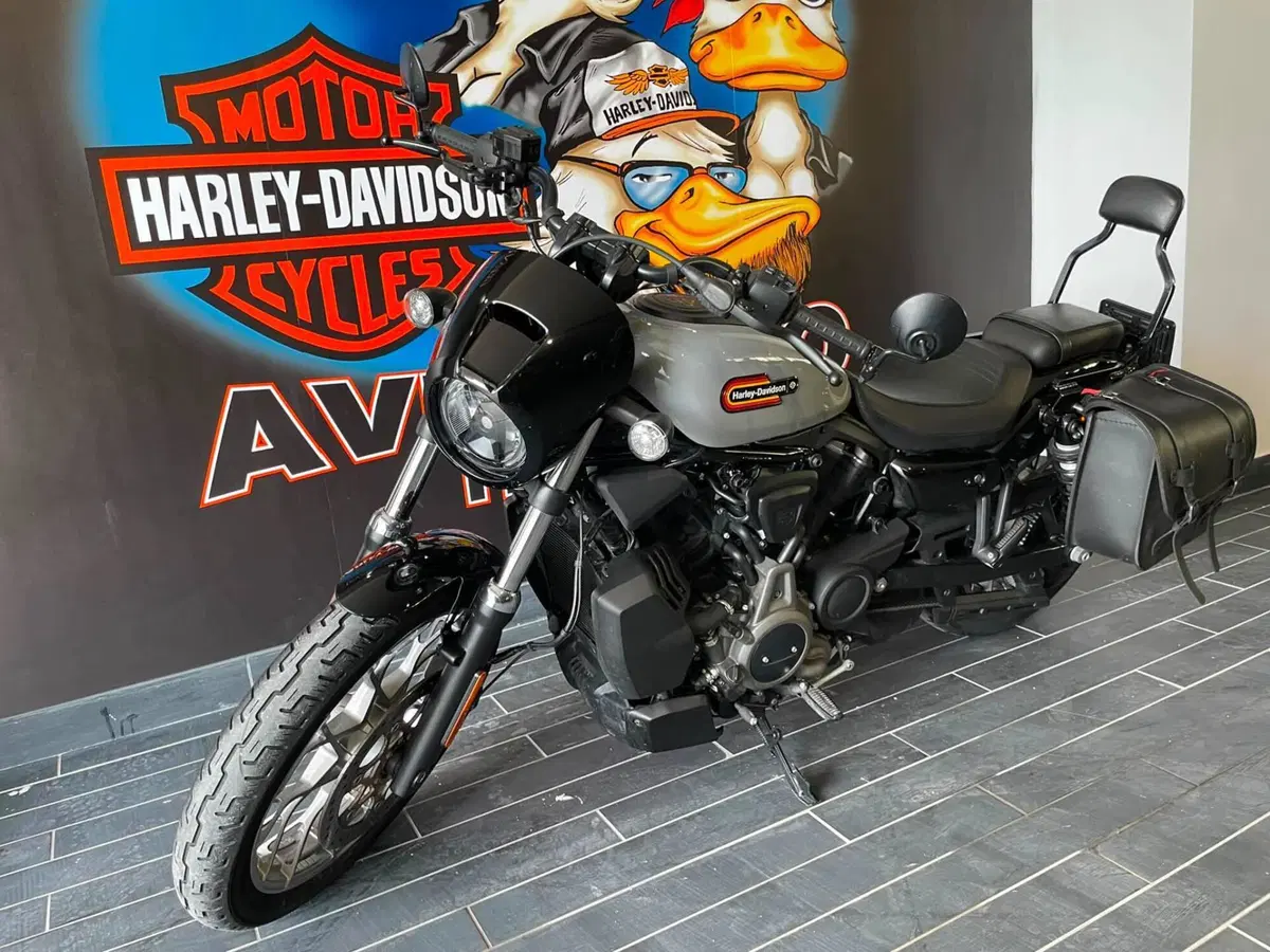 Harley-Davidson Nightster Special (2023 - 26) (6)