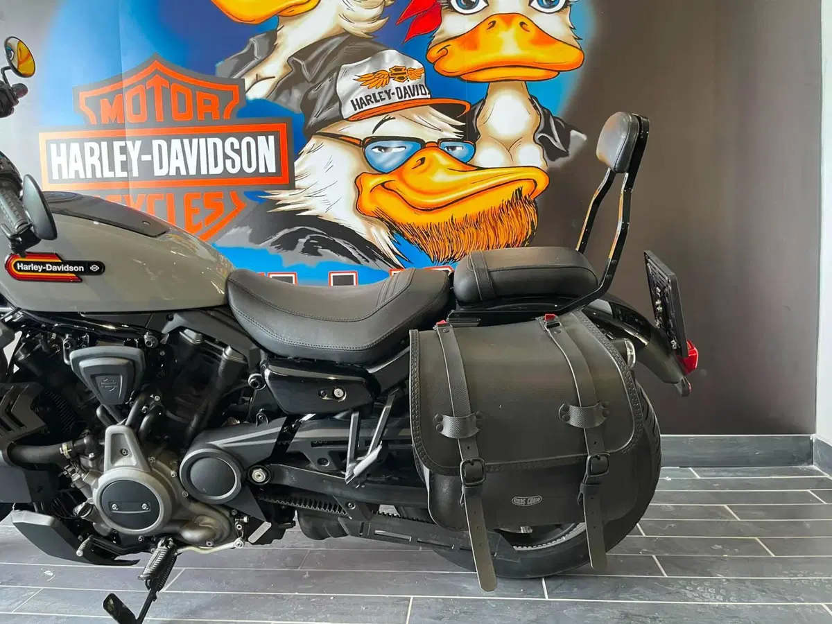 Harley-Davidson Nightster Special (2023 - 26) (7)