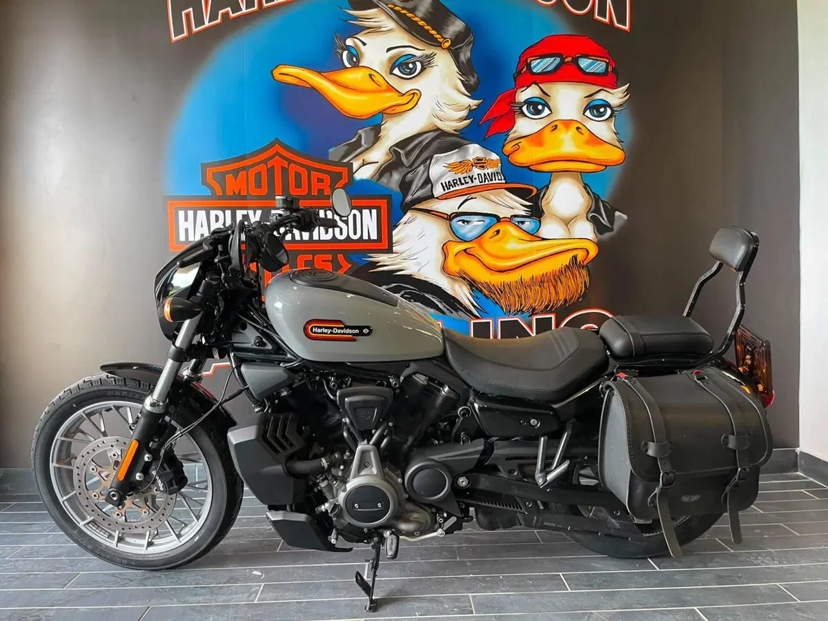 Harley-Davidson Nightster Special (2023 - 26) (9)