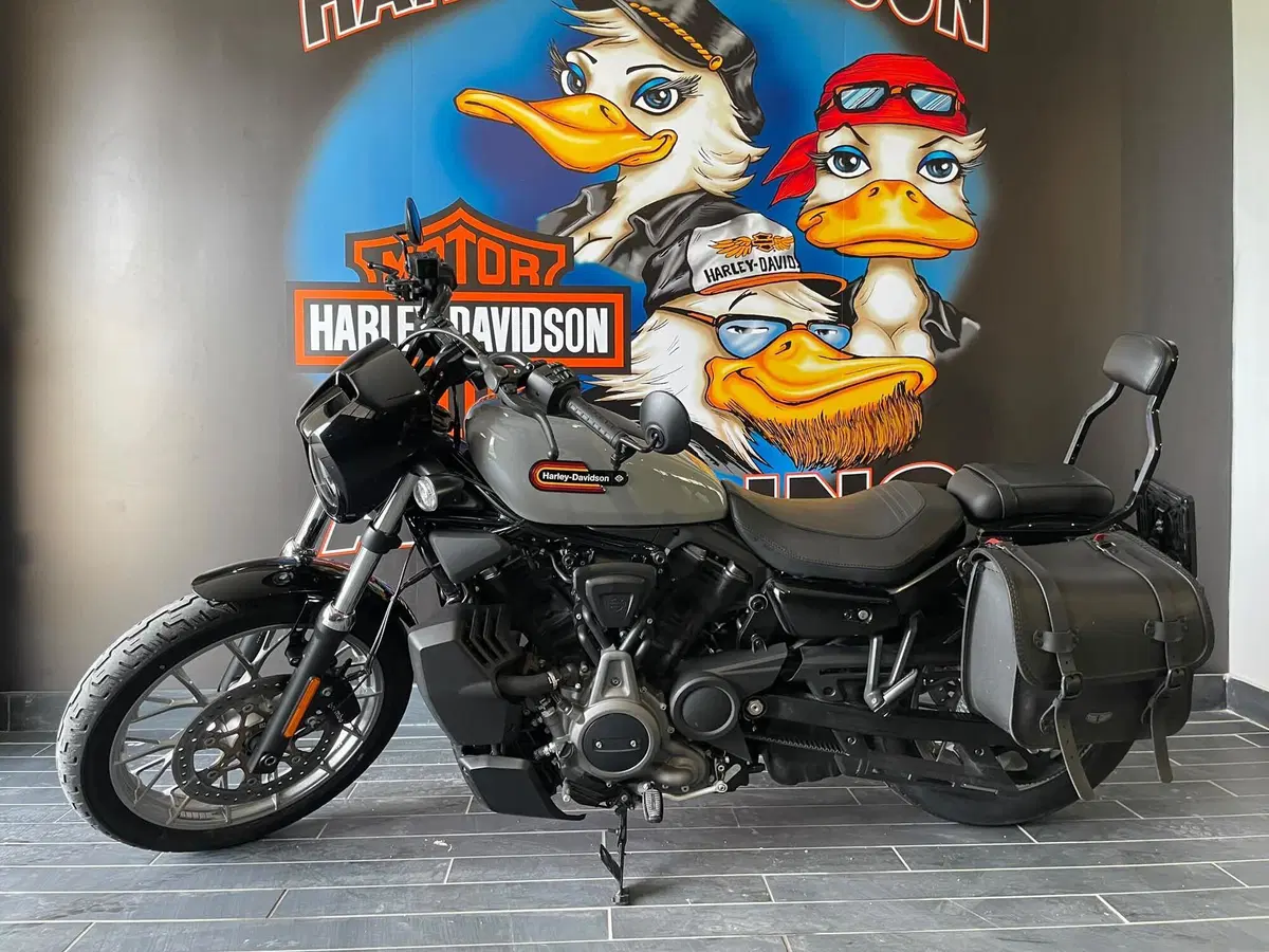 Harley-Davidson Nightster Special (2023 - 26) (5)