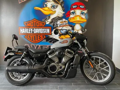 Harley-Davidson Nightster Special (2023 - 26) usata