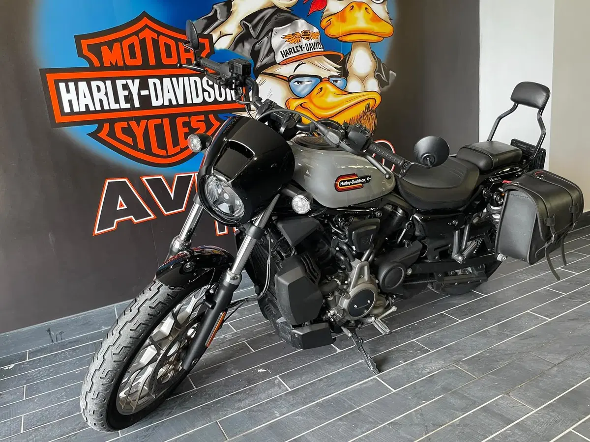 Harley-Davidson Nightster Special (2023 - 26) (7)