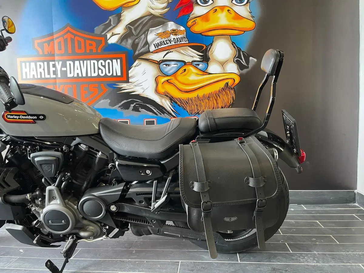 Harley-Davidson Nightster Special (2023 - 26) (8)