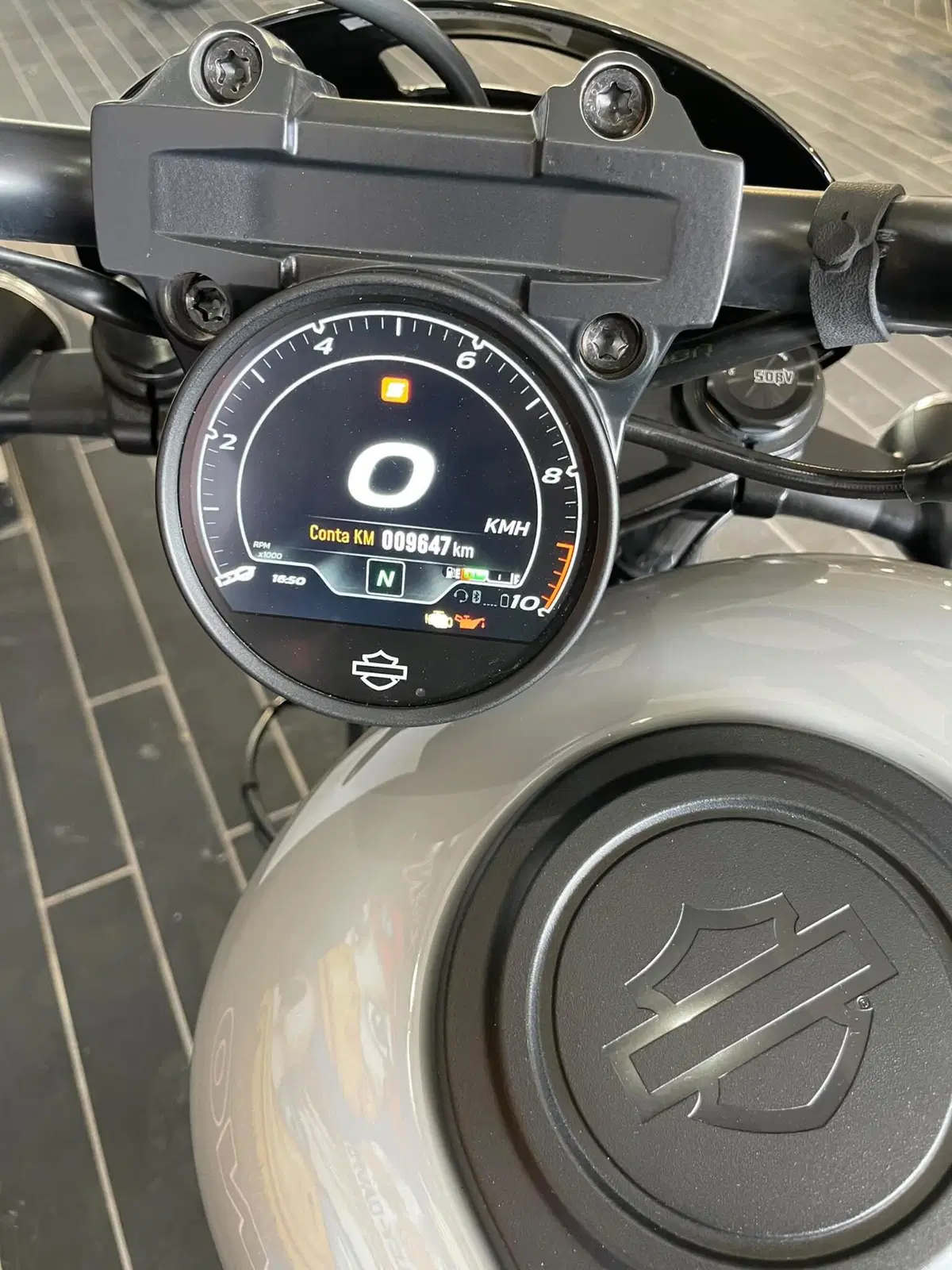 Harley-Davidson Nightster Special (2023 - 26) (11)